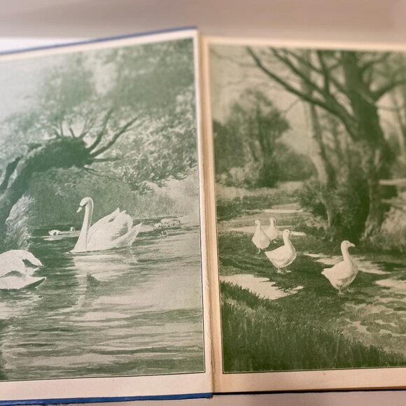 The Girl's Own Annual, Volume 50, Antique Cloth Covered HC Book - Picture 6 of 7